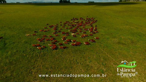 DOS EÓLICOS VIRA P FAZENDA_Moment.00_01_08_11.Quadro174_b0b6439dcaeb519d0c60ac686520a72d46badf3d.jpg